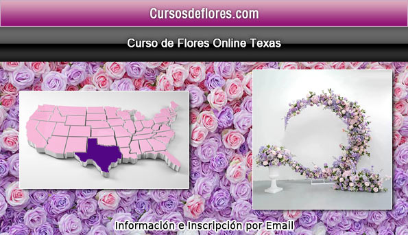 clases diseño floral texas