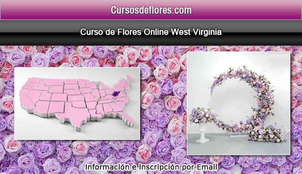 clases diseño floral west virginia