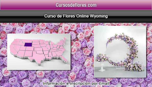 clases diseño floral wyoming
